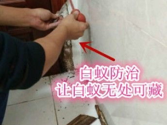 深圳專(zhuān)業(yè)保潔與除蟲(chóng)服務(wù) 工廠、商店、展廳的全方位清潔解決方案